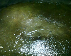 tanques04